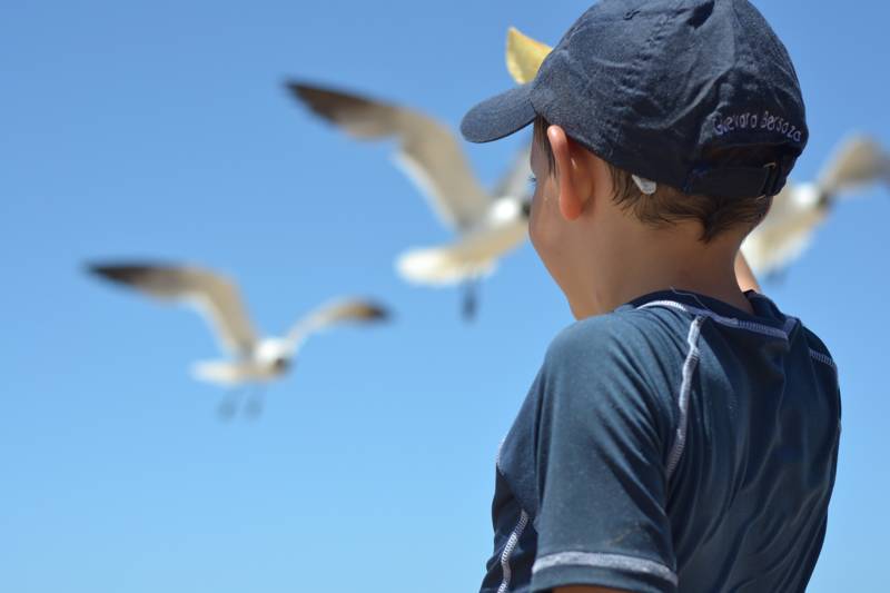 Met kinderen naar het strand